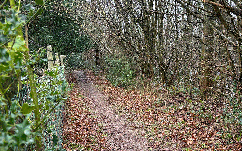 Footpath running along southern boundary